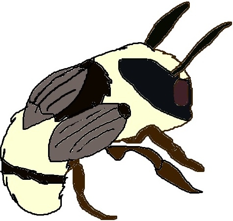 Bombus_sylvarum_-_Pedicularis_sceptrum-carolinum_-_Niitvälja_bog (shrill carder-bee. ).jpg