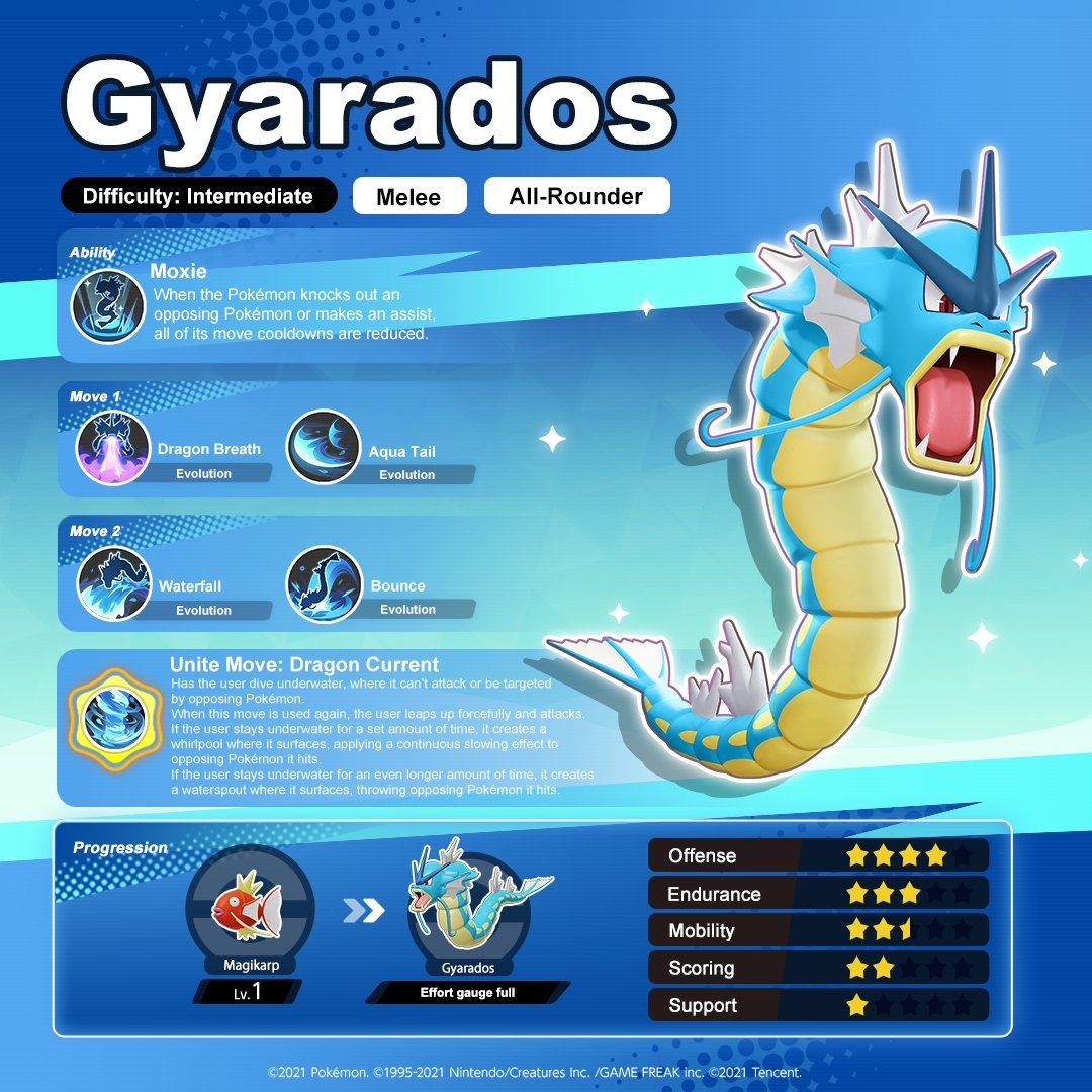 Gyarados Infographic